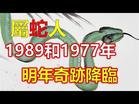 1989 蛇 五行|1989年的五行是属什么的